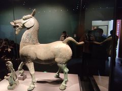 -广西壮族自治区博物馆