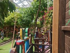 -呀路古热带植物园