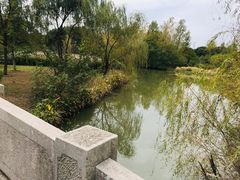 -梁鸿国家湿地公园