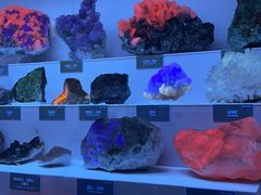 -湖南省地质博物馆