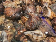 -老虎滩船说·海胆水饺·大连海鲜(老虎滩店)