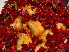 -新荣记(BFC外滩金融中心店)