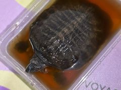 -老人和饭店(淮海中路店)