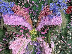 -花博汇(知音花月夜)