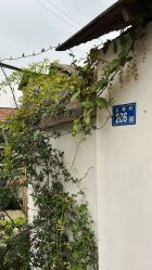 -瞳孔摄影(植物园路店)