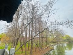 -梁鸿国家湿地公园