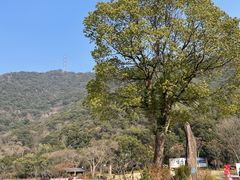 -黄公望隐居地