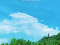 -南沙蒲洲花园