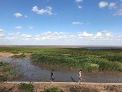 -南汇嘴观海公园