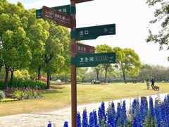 -上海滨江森林公园