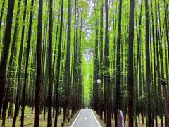 -山王坪喀斯特国家生态公园