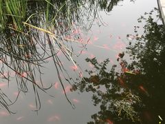 -北京园博大酒店