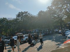 -十渡高山漂流