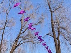 -大兴滨河森林公园