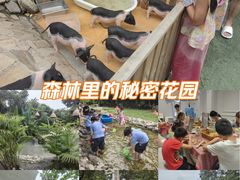-HERRE·FARM 赫尔露营农场·团建聚会包场