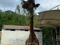 -泉州海丝野生动物世界