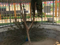 -稻香湖公园
