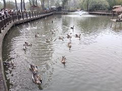 -溱湖国家湿地公园