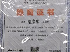 -子乐宠物医院