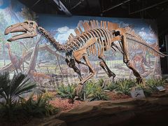 -辽宁古生物博物馆