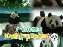 -广州动物园