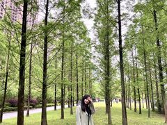 -陈记重庆鸡公煲