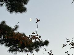 -秦岭终南山世界地质公园翠华山景区