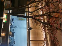 -蜜桃餐厅·伴山(湖滨商业街店)