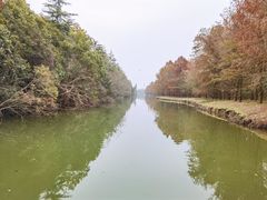 -上海海湾国家森林公园