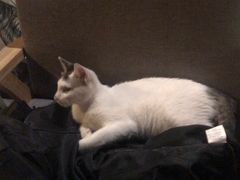 -蜉蝣酒吧(仓山万达店)