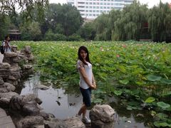 iphone_upload_pic-莲湖公园