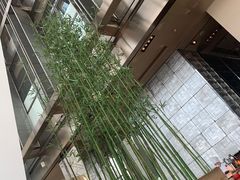 -上海柏悦酒店·世纪100牛排馆