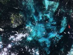 -蝴蝶泉公园