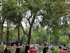 -墅园