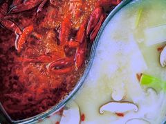 鸳鸯锅-楼外楼大刀肉传统火锅(西安大路店)