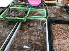 -毕家疃综合市场