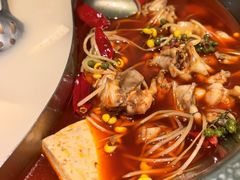 -麻田会 ·鲜活现烹·牛蛙火锅(珠江新城维家思广场店)