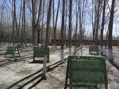 -亲兄弟真人CS团建拓展基地