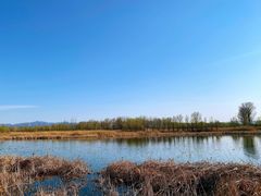 -野鸭湖国家湿地公园
