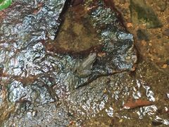 -青龙双河漂流