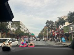 -合肥滨湖国家森林公园