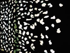 -视界美食自助餐厅·石家庄希尔顿酒店