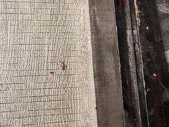 -美豪怡致酒店(上海长寿路店)