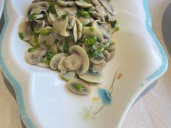 将军菜拌口蘑-大眼锅贴水饺(河东店)