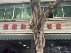 -赵姐猪耳朵饭店