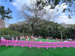 -上海野生动物园