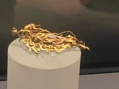 -大同市博物馆