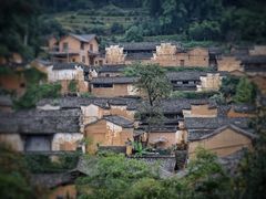-杨家堂村