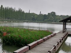-圩墩遗址公园