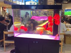 -五丁桥光头香辣蟹(望江橡树林店)